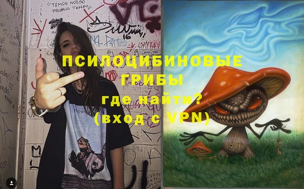 таблы Богородицк