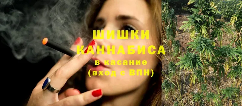 купить закладку  Ермолино  Бошки марихуана Amnesia 